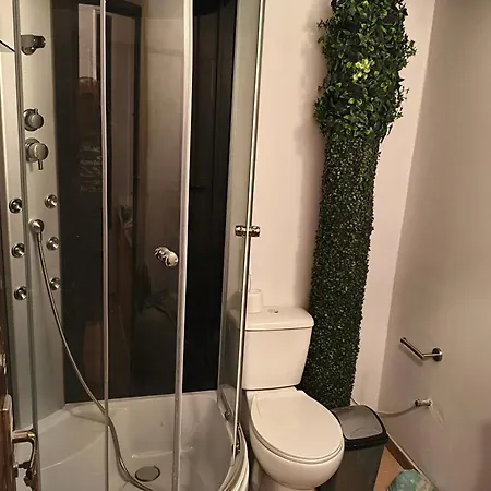Apartment Voievozilor Garden View Constanta